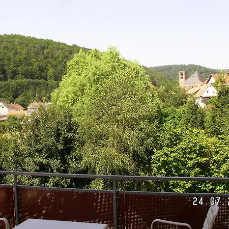 Landgasthof Zum Hirschen فندق