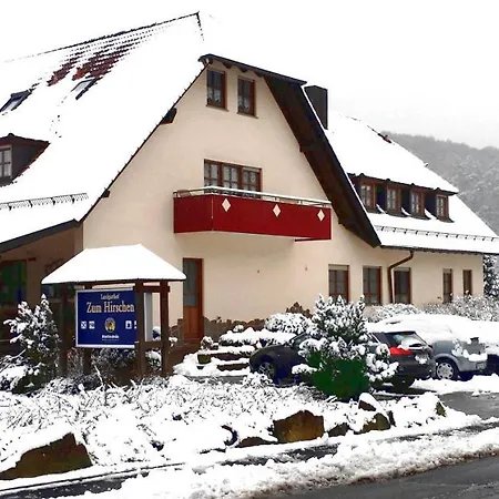 Landgasthof Zum Hirschen فندق 2*
