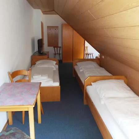 Landgasthof Zum Hirschen Hotel 2*