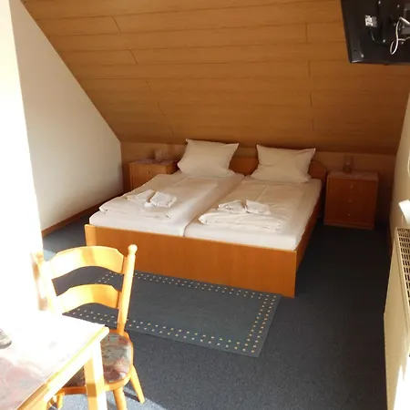 Hotel Landgasthof Zum Hirschen 2*