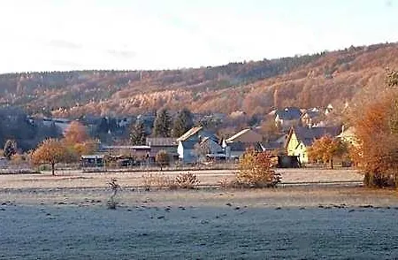 Szálloda Landgasthof Zum Hirschen Hafenlohr
