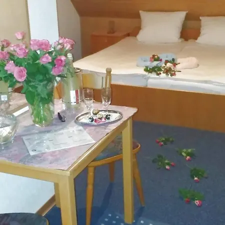 Hotel Landgasthof Zum Hirschen 2*